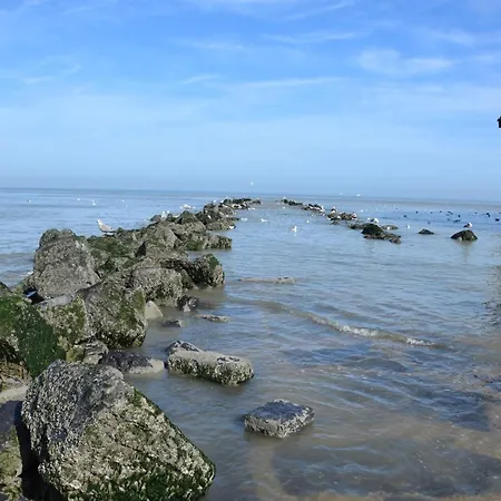 At Sea - Zeedijk * Бланкенберге
